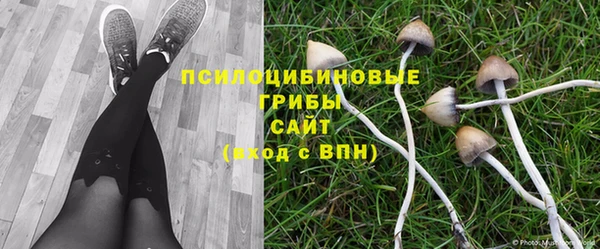 МДПВ Аркадак