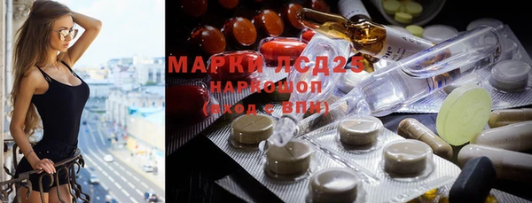 мяу мяу мука Арсеньев